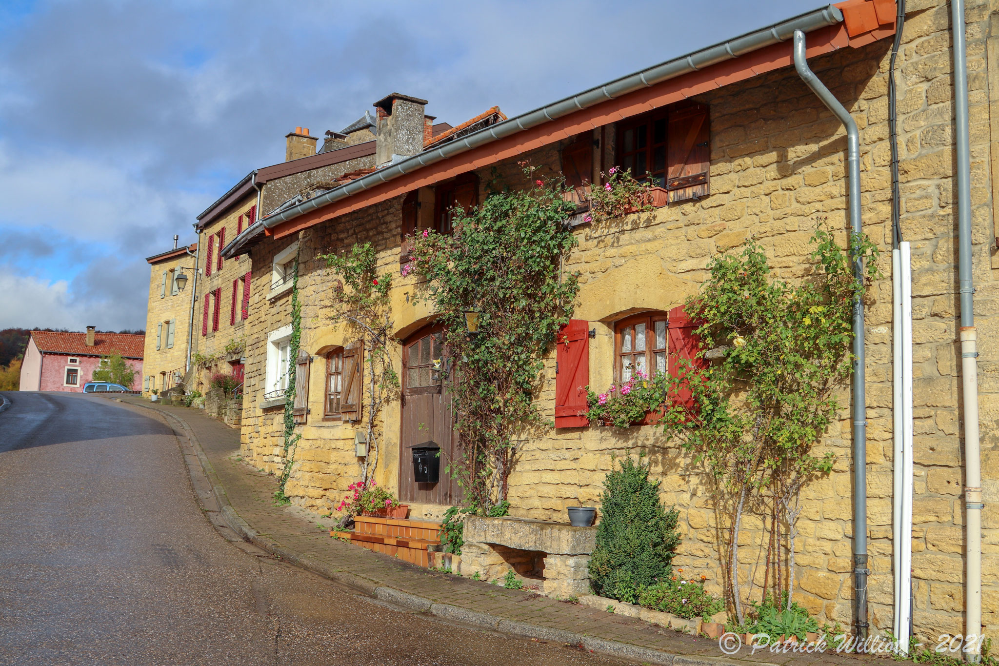 Torgny